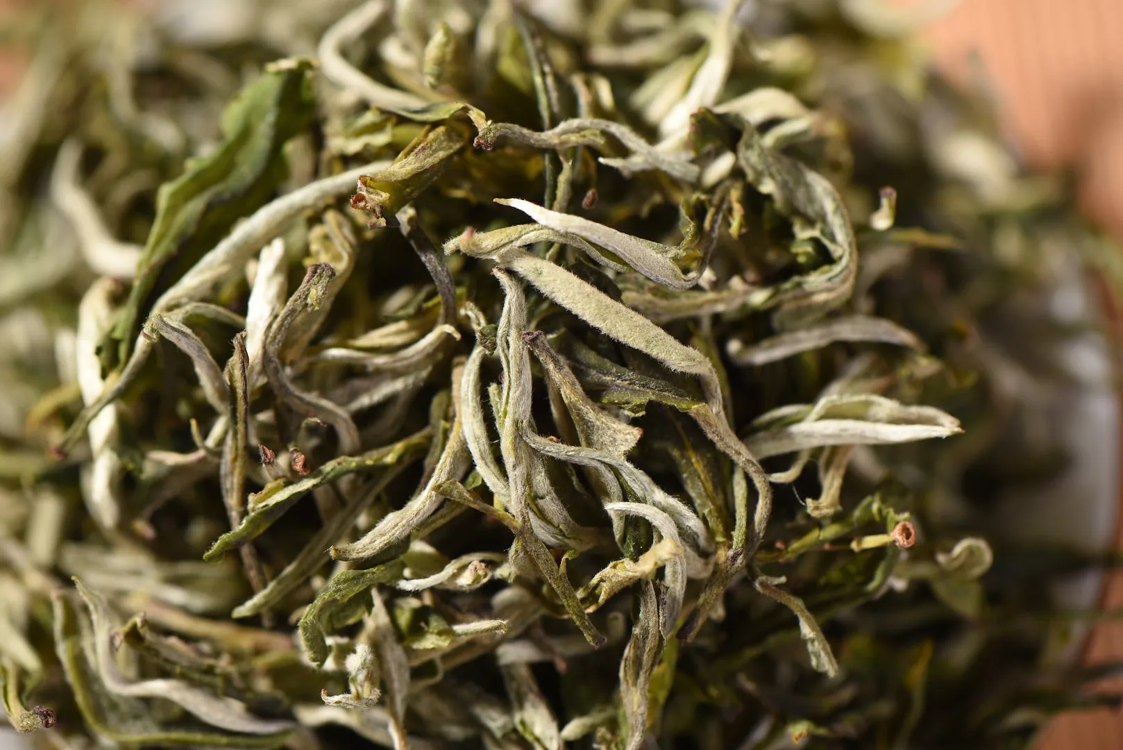 Early Spring "Cui Ming" Premium Yunnan Green Tea