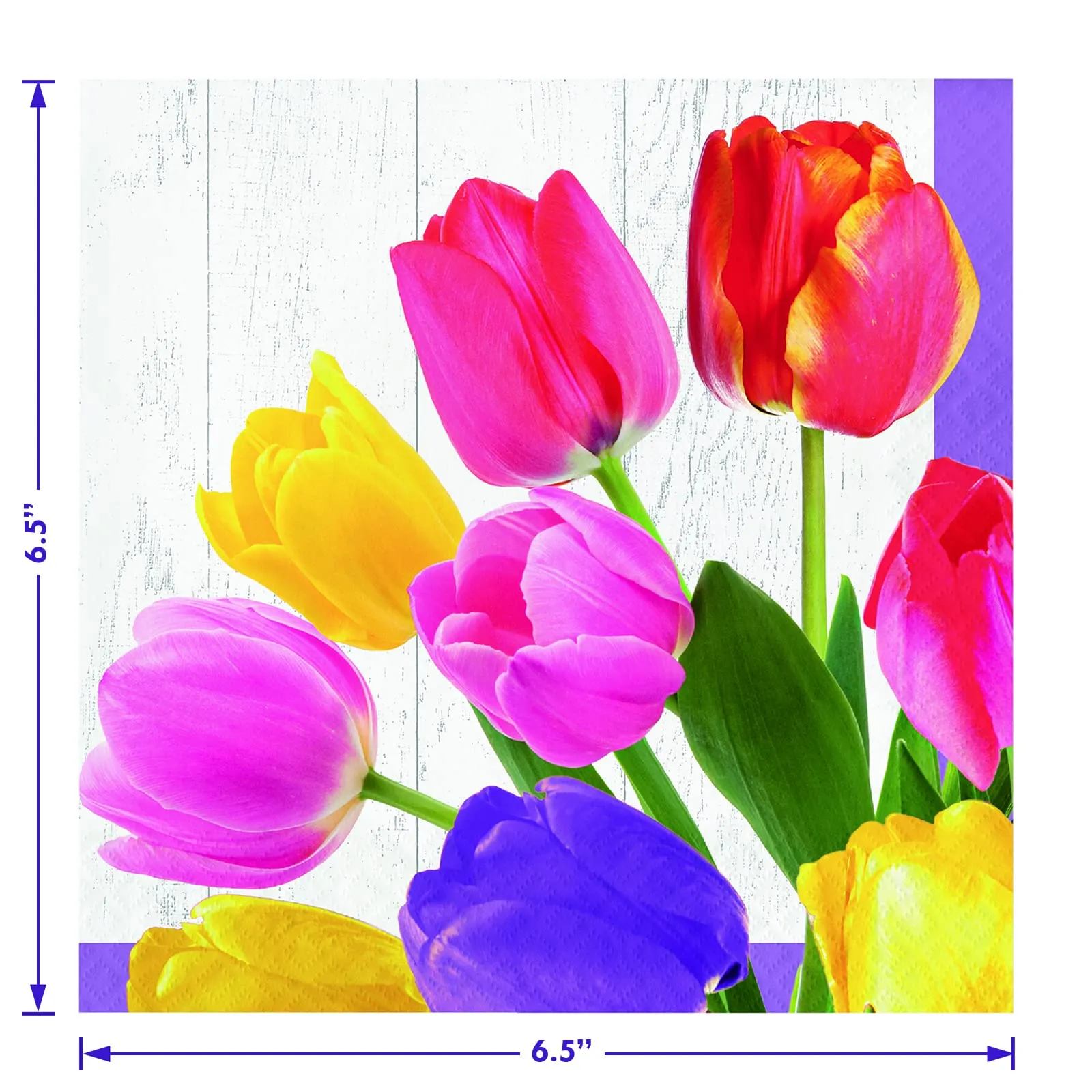 Spring Tulips Floral Bouquet Paper Dinner Plates, Lunch Napkins, Table Cover, and Forks