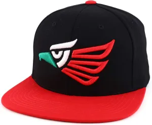 Trendy Apparel Shop Hecho En Mexico Eagle 3D Embroidered Snapback Cap