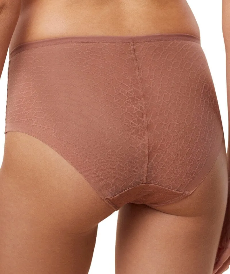 Triumph Signature Sheer Maxi Brief - Toasted Almond